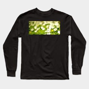 CELANDINE Long Sleeve T-Shirt